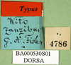 CollectionObject 1501682; e2435b3d-cd3b-446e-afdf-b07df76d1e38: labels (syntype). (CollectionObject).