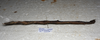 CollectionObject 1576532; 23ef1579-bcd0-4b72-95cd-7b984016a422: copyright ZRC Singapore. female, lateral view (holotype). (CollectionObject).