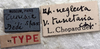 CollectionObject 1589669; b86cc67c-6595-4c42-8d0b-1ecdc7fa848b: labels. (CollectionObject).