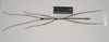 CollectionObject 1561039; NHMUK(SF IMPORT DUPLICATE) 844542, 1ce5d895-25c0-4bc6-9b50-1a4377cbfef3: copyright Natural History Museum, London. male (holotype). (CollectionObject).