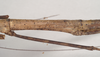 CollectionObject 1557251; c8103a57-5463-4533-a7a5-53285f3c857f, NHMUK(SF IMPORT DUPLICATE) 844584: copyright Natural History Museum, London. Lonchodes nigropunctatus female: metanotum, lateral view (holotype). (CollectionObject).