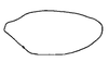 Subgenital plate, ventral view on Carapona vulta (DeLong & Freytag, 1975): Male holotype: subgenital plate, ventral view. (Observation).