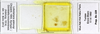 CollectionObject 1587684; MNHN(SF IMPORT DUPLICATE) MNHN-EP-EP1973, 4fad2792-5b64-4985-a83f-cc37e4c67c95: CC BY-NC-ND 4.0/MNHN - Depraetere Marion - 2014. Syntype, sex unknown, of Lobolampra adelungi Chopard, 1943. Specimen number: MNHN-EP-EP1973. http://coldb.mnhn.fr/catalognumber/mnhn/ep/ep1973. (CollectionObject).