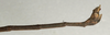 CollectionObject 1559576; 83d15f0c-9efe-47be-a0fe-7425452a31d3: copyright NMW, Vienna. male: end of abdomen, lateral view (paralectotype). (CollectionObject).;CollectionObject 1559577; e48b5ebb-022b-44fb-8ae0-828b3cb20779: copyright NMW, Vienna. male: end of abdomen, lateral view (paralectotype). (CollectionObject).