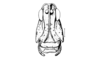 Elysiacris ensicornis Cigliano, 1999: Fig. 191. female, head, frontal view. (Otu).