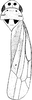 Forewing: Habitus (A. parvula Boh.). (Observation).