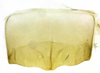 Sternite VIII (male) on Carapona eximia (DeLong & Freytag, 1975): Male [DZRJ]: sternite VIII, ventral view. (Observation).