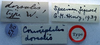 CollectionObject 1516877; 61997a7b-5b9e-4d2c-bd9d-5b94b9bfbb68: labels (holotype). (CollectionObject).