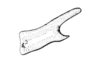 Chibchacris furcata Hebard, 1923: Fig. 11. male cercus, lateral view. (Otu).