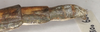 CollectionObject 1559878; 9e1625c8-164e-475e-8740-d8ded0da4710: copyright OUMNH. female of synonym Monandroptera inuncans: end of abdomen, lateral view (paralectotype). (CollectionObject).;CollectionObject 1559879; 90a1ca65-43e1-4e5a-93a4-2fb137caf3da: copyright OUMNH. female of synonym Monandroptera inuncans: end of abdomen, lateral view (paralectotype). (CollectionObject).
