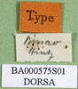 labels (holotype). Depicts CollectionObject 1501547; 3fcdb708-c150-4dbf-ab08-ee2086bb014a, a CollectionObject.