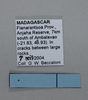 CollectionObject 1553296; cccff9f6-00b2-4533-99bf-263bf399c781: Copyright the Natural History Museum, London. Data labels. (CollectionObject).