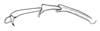 Karruia paradoxa Rehn, 1945: Fig. 7 (after type). hind tarsus. (Otu).