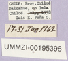 CollectionObject 1499677; dd09c981-5438-43ba-801e-11e78c1eec23: labels. (CollectionObject).