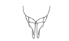 Oteroa paraibana Amédégnato & Descamps, 1979: Fig. 151. female abdomen tip, ventral view. (Otu).