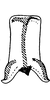 Connective on Borulla gracilis Dworakowska, Sohi & Viraktamath, 1980: Connective. (Observation).