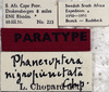 CollectionObject 1567556; b55a4a95-43d7-4b84-9f58-09520282302b: labels (paratype). (CollectionObject).