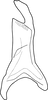 Stylus: !! display not done !! on Maiestas brevicula (Dash & Viraktamath, 1998): Stylus. (Observation).