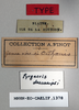 CollectionObject 1540726; 264ef382-a44f-4ce7-8658-d1170e7f5f4c: female, labels (holotype). (CollectionObject).