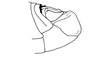 Hippariacris latona (Günther, 1940): Fig. 179. male abdomen tip, lateral view. (Otu).