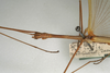 CollectionObject 1561957; b9655f81-9f02-44a3-8f36-c885c44e980e, NMW 1104: copyright NMW, Vienna. male: head and thorax, dorsal view of synonym Sipyloidea filiformis (lectotype). (CollectionObject).