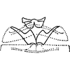 Abdomen, sternal apodemes, ventral view on Arbosiria gracilis Dworakowska, 1994: Abdomen, sternal apodemes. (Observation).