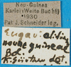 CollectionObject 1502081; 5d6a832d-c1f5-4ddc-9e45-6ef69bfb22ff: labels. (CollectionObject).
