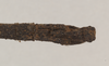 CollectionObject 1560435; dd64b8db-542d-499b-9925-069a0d78b473: copyright Natural History Museum, London. male: end of abdomen, dorsal view (syntype). (CollectionObject).;CollectionObject 1560436; fb5361fa-2dec-4ea9-876a-b1c5e236ef61: copyright Natural History Museum, London. male: end of abdomen, dorsal view (syntype). (CollectionObject).