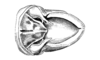 Eurotettix femoratus Bruner, 1906: Fig. 7A. male abdomen tip, dorsal view. (Otu).