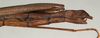 Marmessoidea caryophyllea Redtenbacher, 1908: copyright NMW, Vienna. female: end of abdomen, lateral view of synonym Marmessoidea caryophyllea (syntype). (Otu).