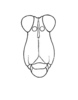 Arexion suavis Rehn, 1930: Plate 21, Fig. 7 (after allotype). male face. (Otu).
