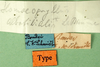 labels (syntype). Depicts CollectionObject 1500861; 7c5e4fa2-66bb-4c8d-af6c-e6454a6cde62, a CollectionObject.