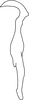 Stylus on Anufrievia drepanoides Lin & Zhang, 2021: lateral view. (Observation).