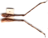 CollectionObject 1575838; 6a67d778-f213-474f-8876-dd8217b6007e: male, hindlegs. (CollectionObject).