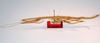 CollectionObject 1557645; a7fe25f3-4b06-4d87-b998-9acc05de9777: copyright MNCN, Madrid. female, lateral view (syntype). (CollectionObject).