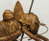 CollectionObject 1534976; fd2f53a9-d275-43dd-b680-4ee0d4295371: male pronotum, lateral view (lectotype). (CollectionObject).