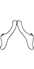 Connective on Arboridia (Arboridia) reniformis Song & Li, 2013: ventral view. (Observation).