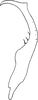 Stylus: Stylus. (Observation).