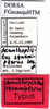 CollectionObject 1476765; 02787473-ee93-4d51-82d2-91ba58fb889e: labels (holotype). (CollectionObject).