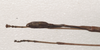 CollectionObject 1562693; 11d05cd3-0d37-483c-bd11-e082785c5ab5: copyright QMBA. male: end of abdomen, dorsal view (paratype). (CollectionObject).