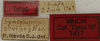 CollectionObject 1535966; 76d4dfaa-91ae-497a-bd15-9353a6fc03e6: labels (syntype). (CollectionObject).