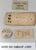CollectionObject 1595760; e5eaa689-3a94-4b47-90e0-9854b1987e04: labels (syntype of Chrotogonus occidentalis). (CollectionObject).