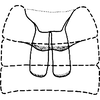 Abdomen, sternal apodemes, ventral view on Distantasca latibasis (Zhang & Liu, 2010): Sternal apodemes. (Observation).