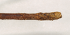 CollectionObject 1560811; 37433f9c-8556-43cf-a296-dde0d4ef6a92: copyright Natural History Museum, London. male; end of abdomen, dorsal view of Phasma maculatum (holotype). (CollectionObject).