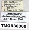 CollectionObject 1583984; TMSA TMOR30360, 96366afa-27fb-45b8-96db-c5da0d66484d: labels. (CollectionObject).