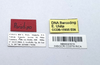 CollectionObject 1599765; MNCR 3,878,725, a1b438dd-f78e-4145-a57b-c54f1ed0d462: copyright MNCR. male, data labels (paratype). (CollectionObject).
