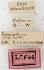 CollectionObject 1576643; NMW 25544, 204b84cc-e891-433e-99bd-11305a2a2d36: labels. (CollectionObject).