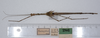 CollectionObject 1560977; ff965729-b76d-4ab9-8a46-f7c1ecbe92c4: copyright ZMUH, Hamburg. male (holotype). (CollectionObject).