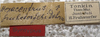 CollectionObject 1476045; 1006c014-b5e0-4756-b06a-262860ccefe6: labels (syntype). (CollectionObject).