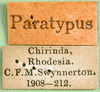 CollectionObject 1501808; fbb8fc68-25a5-4c73-ab1c-6b7b1ab6d3af: labels (paratype). (CollectionObject).